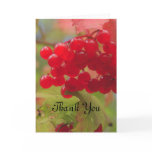 Autumn Berries Card