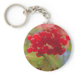 Autumn Berries Key Chain