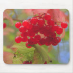 Autumn Berries Mouse Pads
