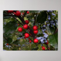 Autumn berries ~ print