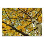 Autumn Birch Tree in Yellow Greeting Card