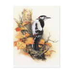 Autumn Bird postcards