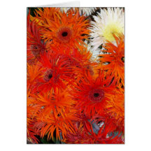 AUTUMN BLOOMS CARDS
