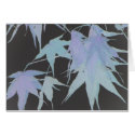 Autumn Blue Jazz cards