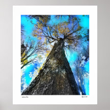 Autumn Blue Posters