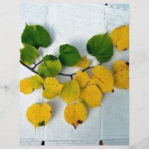 Autumn branch with green and yellow leaves flyer design