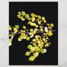 Autumn branch with green and yellow leaves flyer