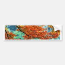Autumn Branches Bumper Stickers