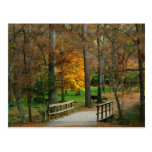 Autumn Bridge Post Card