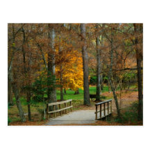Autumn Bridge Post Card