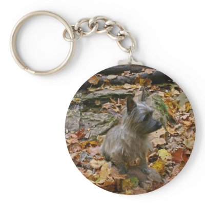 Autumn Cairn Keychain by happy_tails