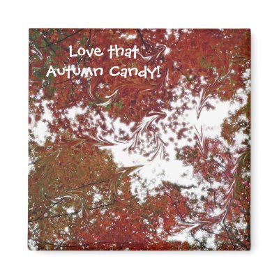 "Autumn Candy" Magnet by hopefulone