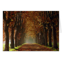 autumn greeting cards