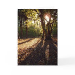 Autumn | greeting card