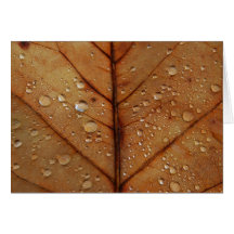 Autumn Card