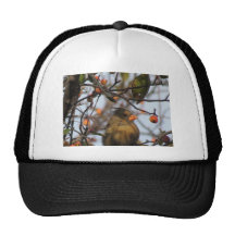 Autumn Cardinal Mesh Hat