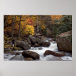 Autumn Cascade  Print