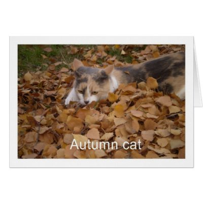 Autumn cat greeting cards by ashroc