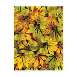 autumn chestnut leaves postcards