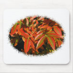 Autumn Color Mouse Pad