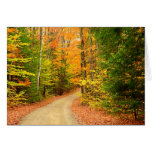 AUTUMN COLORS GREETING CARDS