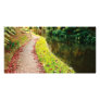 Autumn colors photo greeting card