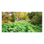 Autumn colors photo card