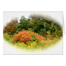 Autumn Colour Cards