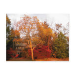 Autumn Colour postcards