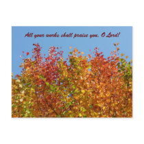 Autumn colours 4 post cards