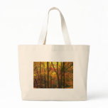 Autumn Colours in Woods NJ Bags
