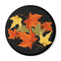 Autumn Colours Magnet