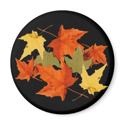 Autumn Colours Magnet by Jaenne