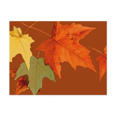Autumn Colours Postcard by Jaenne