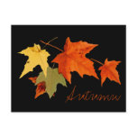Autumn Colours Postcard