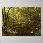 Autumn Colours Print