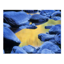 Autumn colours reflected in a wading pool, post cards