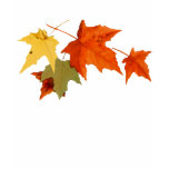 Autumn Colours Shirt
