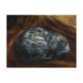 Autumn Colours: Sleeping Cat - postcard 2