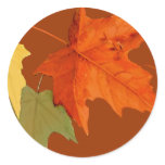 Autumn Colours Sticker