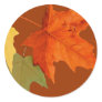 Autumn Colours Sticker