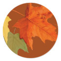 Autumn Colours Sticker