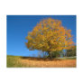 Autumn Colours, West Virginia