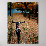 Autumn Cyclist posters