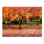 Autumn Day Postcards