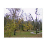 Autumn Day Walktrail Postcard