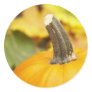 Autumn Design Sticker