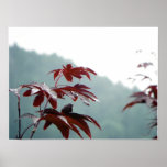 Autumn Dialog/ Poster