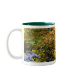 Autumn Dragon Mug