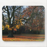 Autumn Dreaming Mouse Pad mousepads